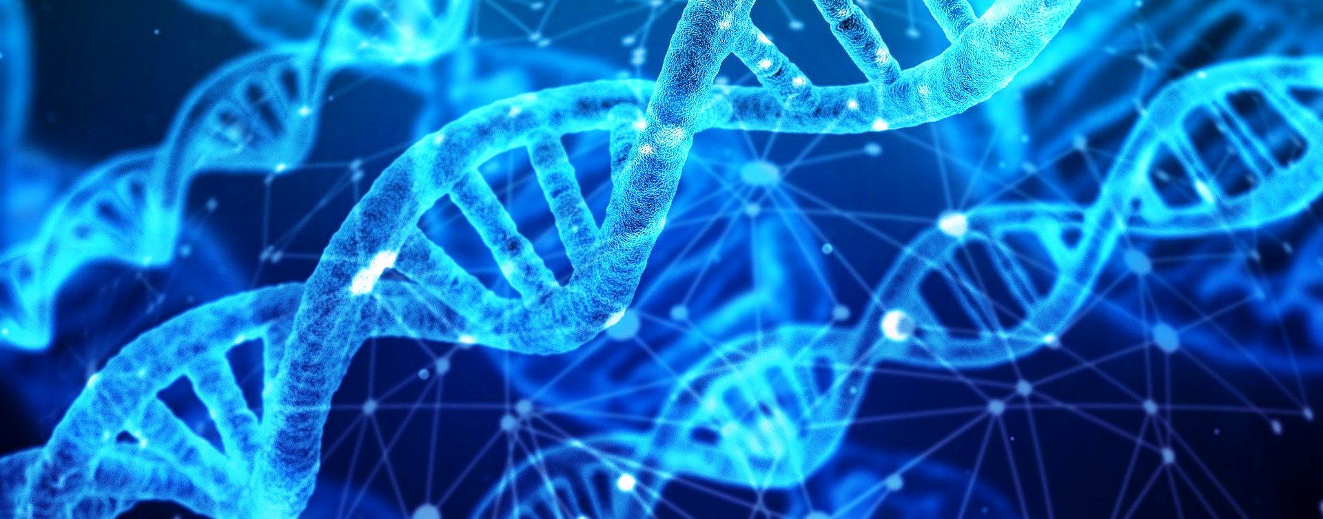 Karma Website Template